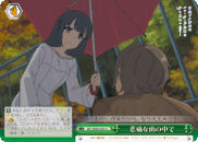 Amongst the Pain in the Rain