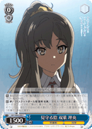 Protective Shadow, Rio Futaba
