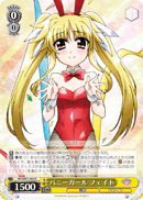 バニーガール フェイト