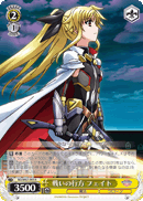 戦いの行方 フェイト