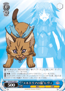 “エルトリアの猫”レヴィ