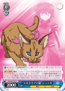 “エルトリアの猫”シュテル