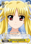 力を求めるフェイト