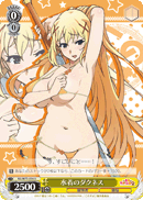 水着のダクネス