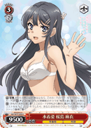 In a Swimsuit, Mai Sakurajima