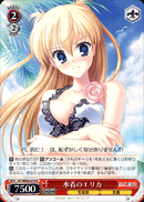 水着のエリカ
Swimsuit Erika