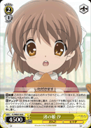 渚の娘 汐
Nagisa's Daughter Ushio