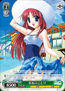 水着のことり
Swimsuit Kotori