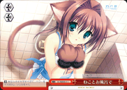 ねことお風呂で
Bathing With The Cat