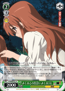 Encounter with Mikuru, Mikuru(Adult)