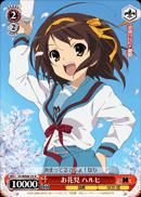 Flower Viewing, Haruhi
