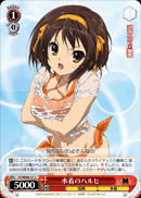 Swimsuit Haruhi