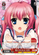 愛にひたむき 美琴
