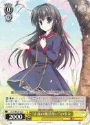 “正義の魔法使い”の少女