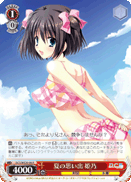 夏の思い出 姫乃
