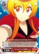 Magical Police Marika