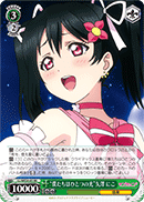 "We Are A Single Light" Nico Yazawa