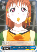 "Now Then, Where Shall We Go?" Chika Takami