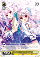 二人のサンタクロース シャルル&アイシア